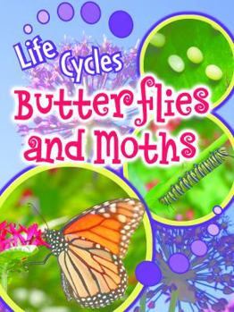 Library Binding Butterflies and Moths Book