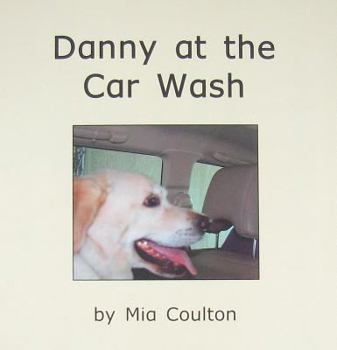 Paperback Danny at the Car Wash (Danny Returns) Book