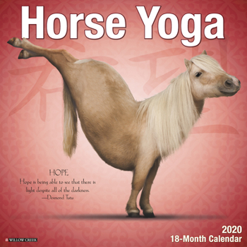 Calendar Horse Yoga 2020 Wall Calendar Book