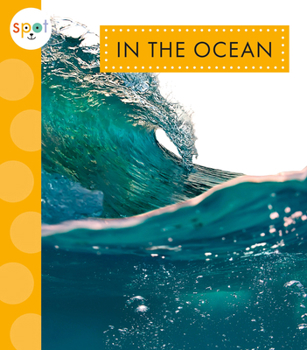 Paperback In the Ocean Book