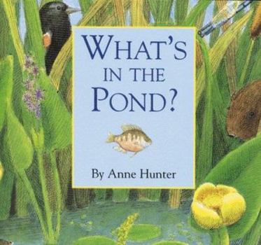 Hardcover What's in the Pond? Book