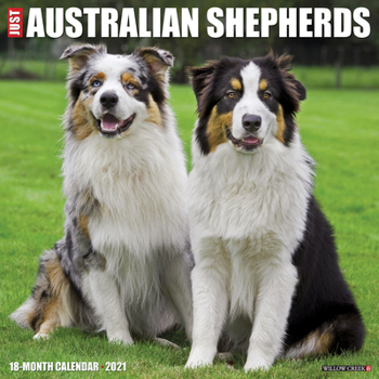Calendar Just Australian Shepherds 2021 Wall Calendar (Dog Breed Calendar) Book