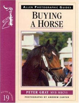 Paperback Buying a Horse Book