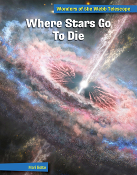 Library Binding Where Stars Go to Die Book