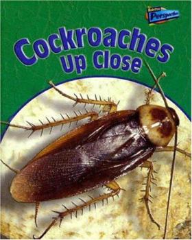 Library Binding Cockroaches Up Close Book