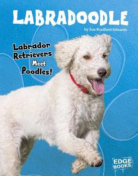 Hardcover Labradoodle: Labrador Retrievers Meet Poodles! Book
