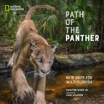 Hardcover Path of the Panther: New Hope for Wild Florida Book