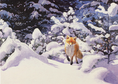 Hardcover Red Fox in Winter Deluxe Boxed Holiday Cards Book