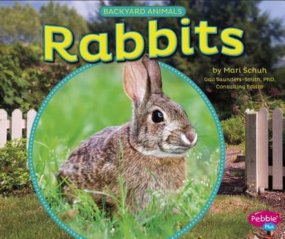 Hardcover Rabbits Book