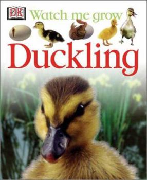 Duckling (Watch Me Grow) - Book  of the DK Watch me grow