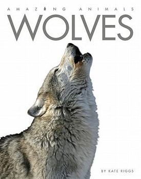 Wolves - Book  of the Amazing Animals