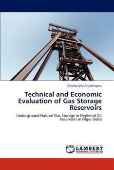 Paperback Technical and Economic Evaluation of Gas Storage Reservoirs Book