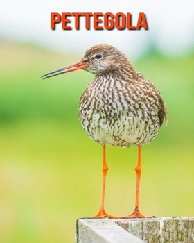 Pettegola: Immagini bellissime e fatti interessanti Libro per bambini sui Pettegola