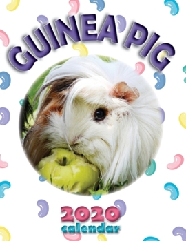 Paperback Guinea Pig 2020 Calendar Book