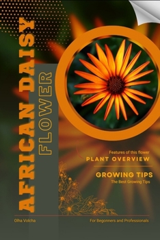 African Daisy: Flower overview and Growing Tips