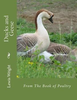 Paperback Ducks and Geese: From The Book of Poultry Book