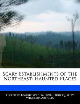 Paperback Scary Establishments of the Northeast: Haunted Places Book