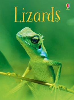 Lizards - Book  of the Usborne Beginners