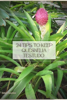 Paperback 24 Tips to Keep Quesnelia Testudo: Plant Guide Book
