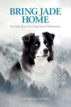 Paperback Bring Jade Home: The True Story of a Dog Lost in Yellowstone Book
