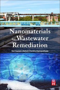 Paperback Nanomaterials for Wastewater Remediation Book