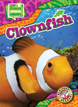 Clownfish