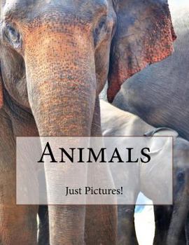 Paperback Animals Book
