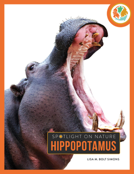 Hippopotamus