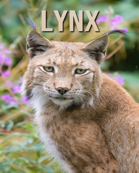 Lynx: Learn About Lynx and Enjoy Colorful Pictures