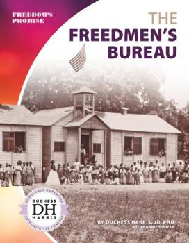 Library Binding The Freedmen's Bureau Book