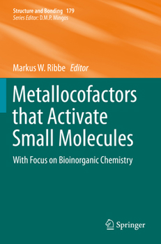 Paperback Metallocofactors That Activate Small Molecules: With Focus on Bioinorganic Chemistry Book