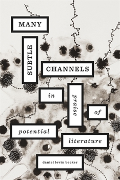 Hardcover Many Subtle Channels: In Praise of Potential Literature Book