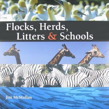 Hardcover Flocks, Herds, Litters & Schools Book