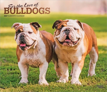 For the Love of Bulldogs 2027 14 X 24 Inch (Hanging) Monthly Deluxe Wall Calendar Foil Stamped Cover Plastic-Free