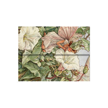 Misc. Bindweed Fairy Document Folder by Paperblanks (Flower Fairies) Book