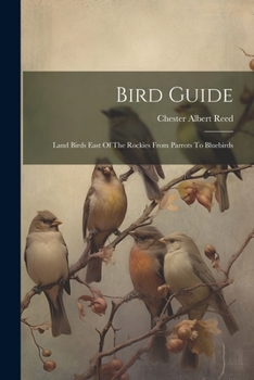 Paperback Bird Guide: Land Birds East Of The Rockies From Parrots To Bluebirds Book