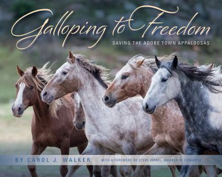 Hardcover Galloping to Freedom: Saving the Adobe Town Appaloosas Book