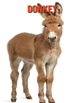 Paperback Donkey: Amazing Facts & Pictures Book