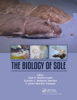 Paperback The Biology of Sole Book