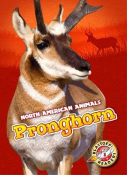 Pronghorn - Book  of the North American Animals