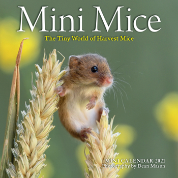 Calendar Mini Mice Mini Wall Calendar 2021: The Tiny World of Harvest Mice Book