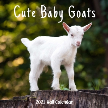 Paperback Cute Baby Goats 2021 Wall Calendar: Cute Baby Goats 2021 Calendar, 18 Months Book