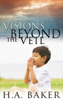 Paperback Visions Beyond the Veil Book
