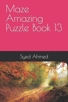 Paperback Maze Amazing Puzzle Book 13 Book