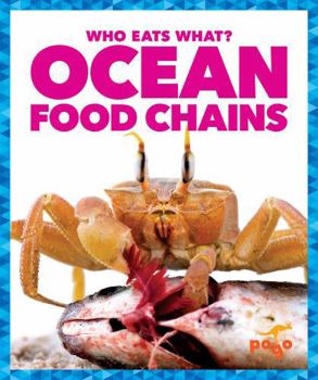 Library Binding Ocean Food Chains Book