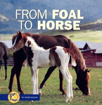 From Foal to Horse - Book  of the Start to Finish, Second Series
