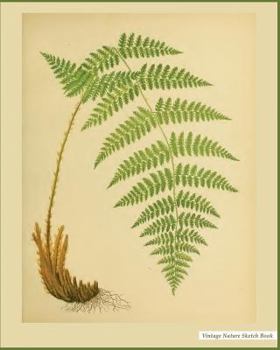 Vintage Nature Sketch Book: Vintage Nature Print (6), 8" x 10", Sketch Pad, For Drawing, Unlruled Drawing Paper Pad - [Professional Binding]