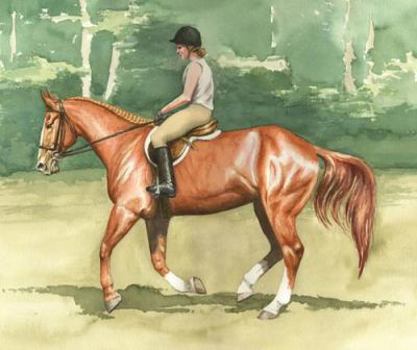 Hardcover Riding School 5: Sophie Book