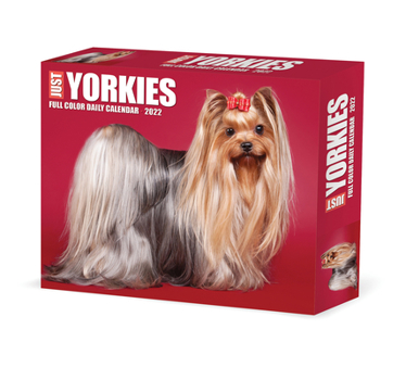 Calendar Yorkies 2022 Box Calendar - Dog Breed Daily Desktop Book
