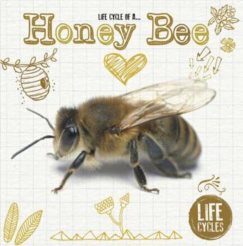 Hardcover Life Cycle of a Honey Bee Book